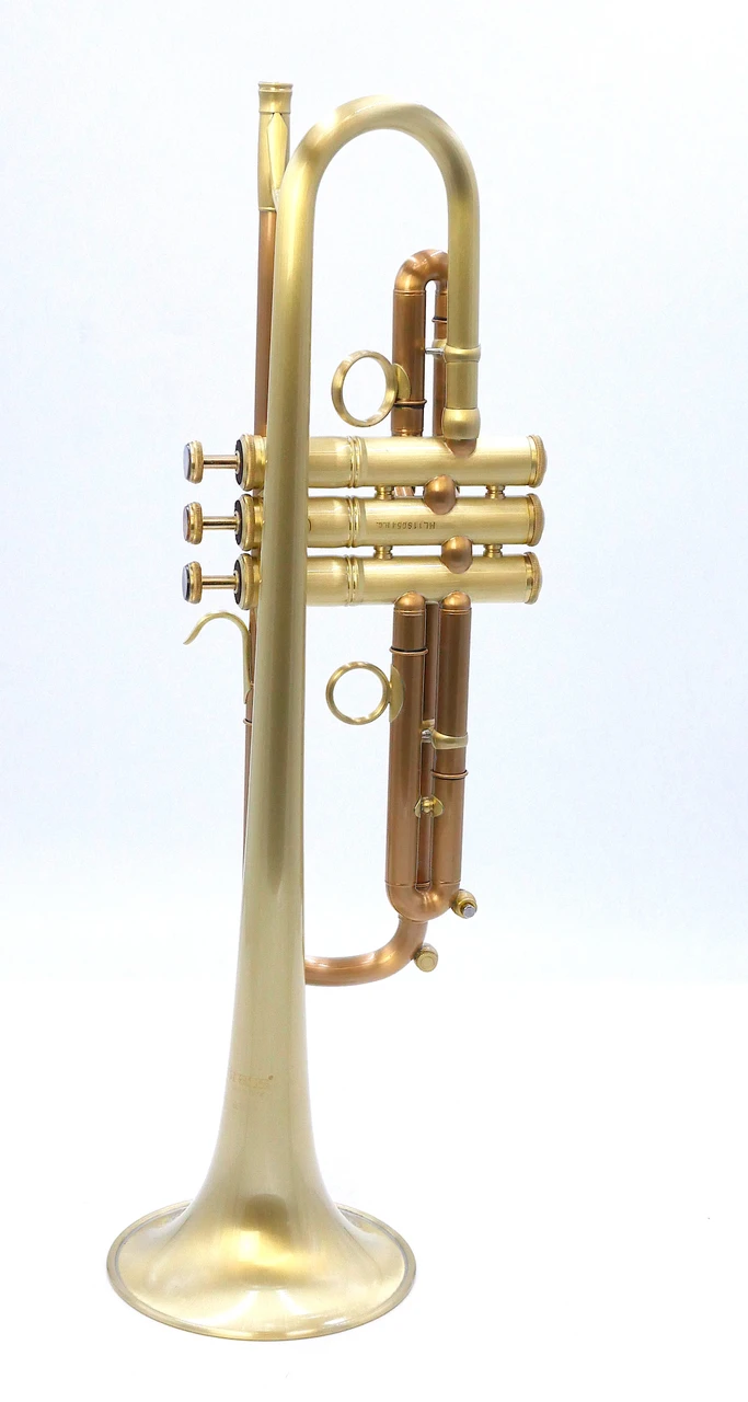 Full Satin beauty:  CarolBrass   Trumpet CTR-4340L-YLT-SL (yellow brass bell)
