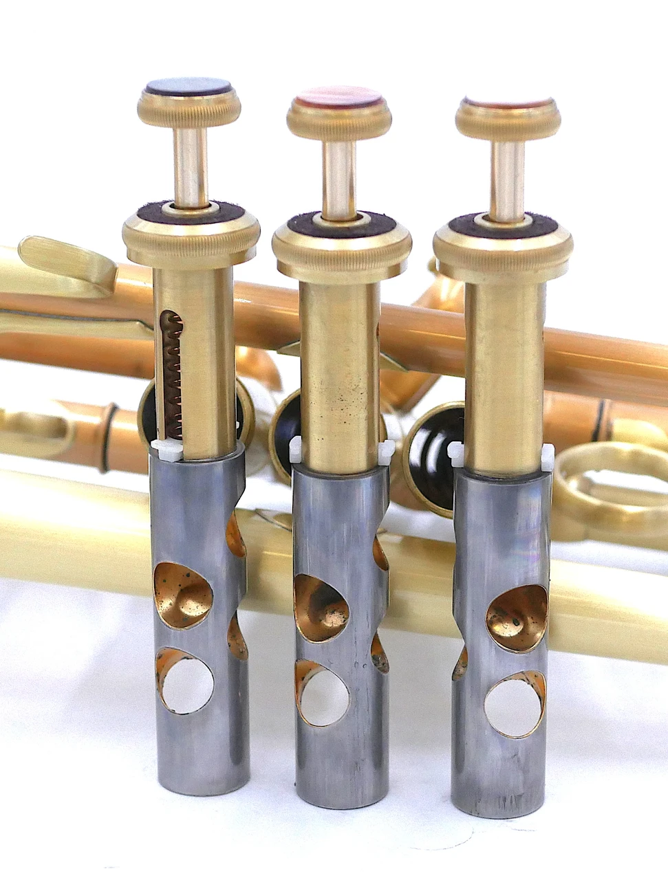 Full Satin beauty:  CarolBrass   Trumpet CTR-4340L-YLT-SL (yellow brass bell)