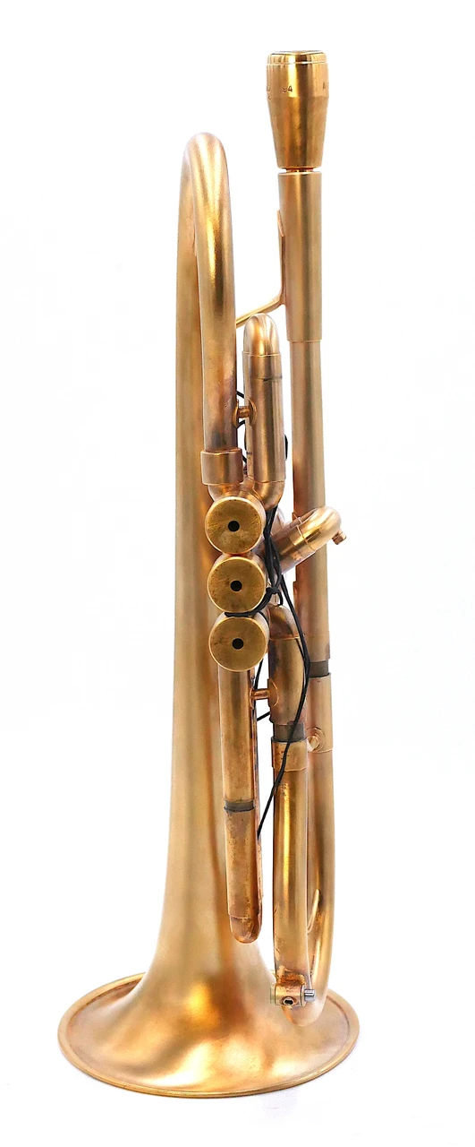 A treasure! One-Owner Monette Prana Flumpet II in Gold plate!