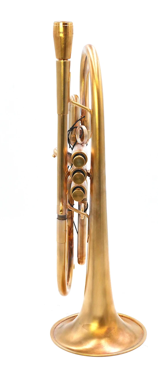 A treasure! One-Owner Monette Prana Flumpet II in Gold plate!