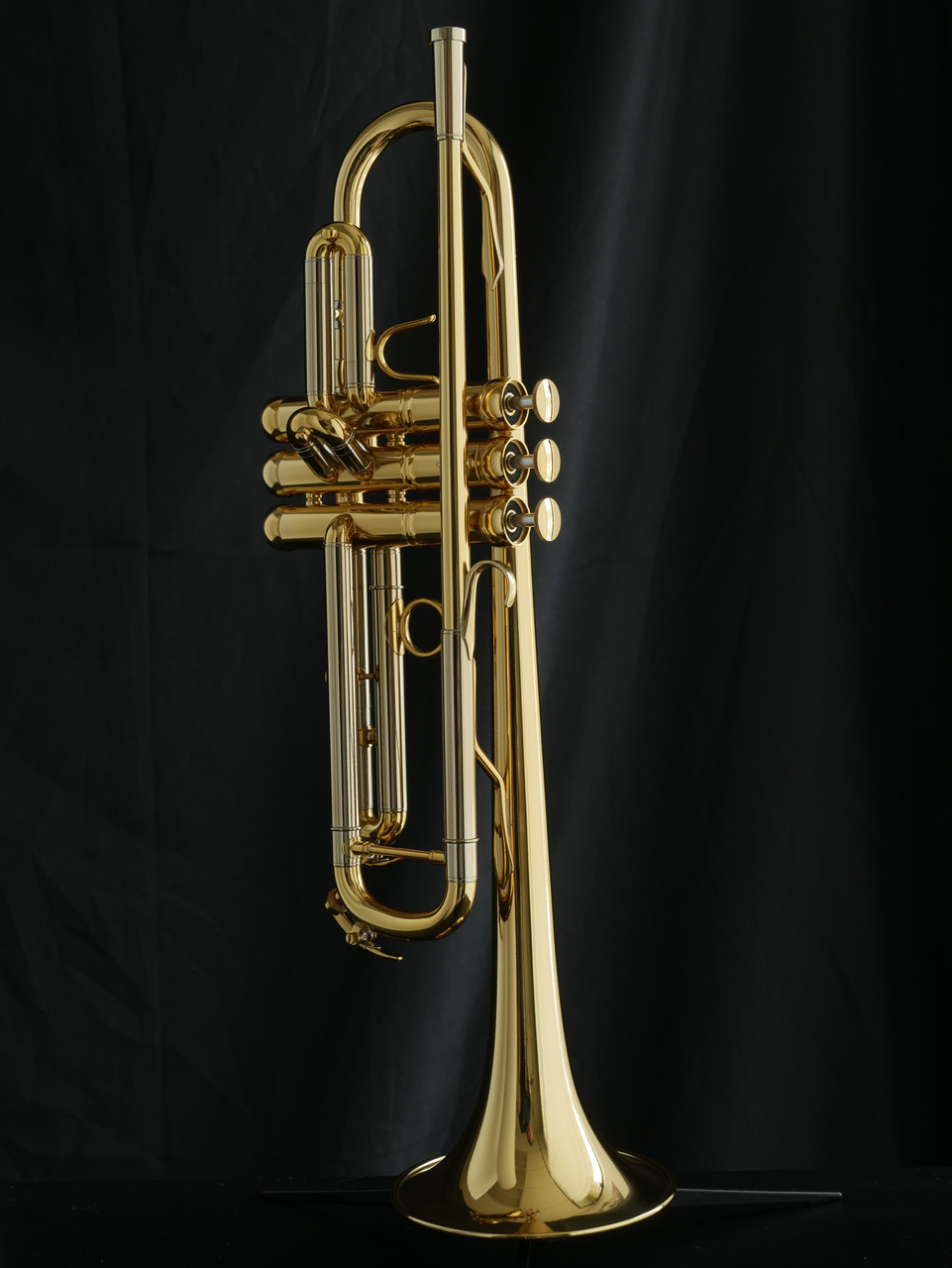Adams ACB Collaborative Model 