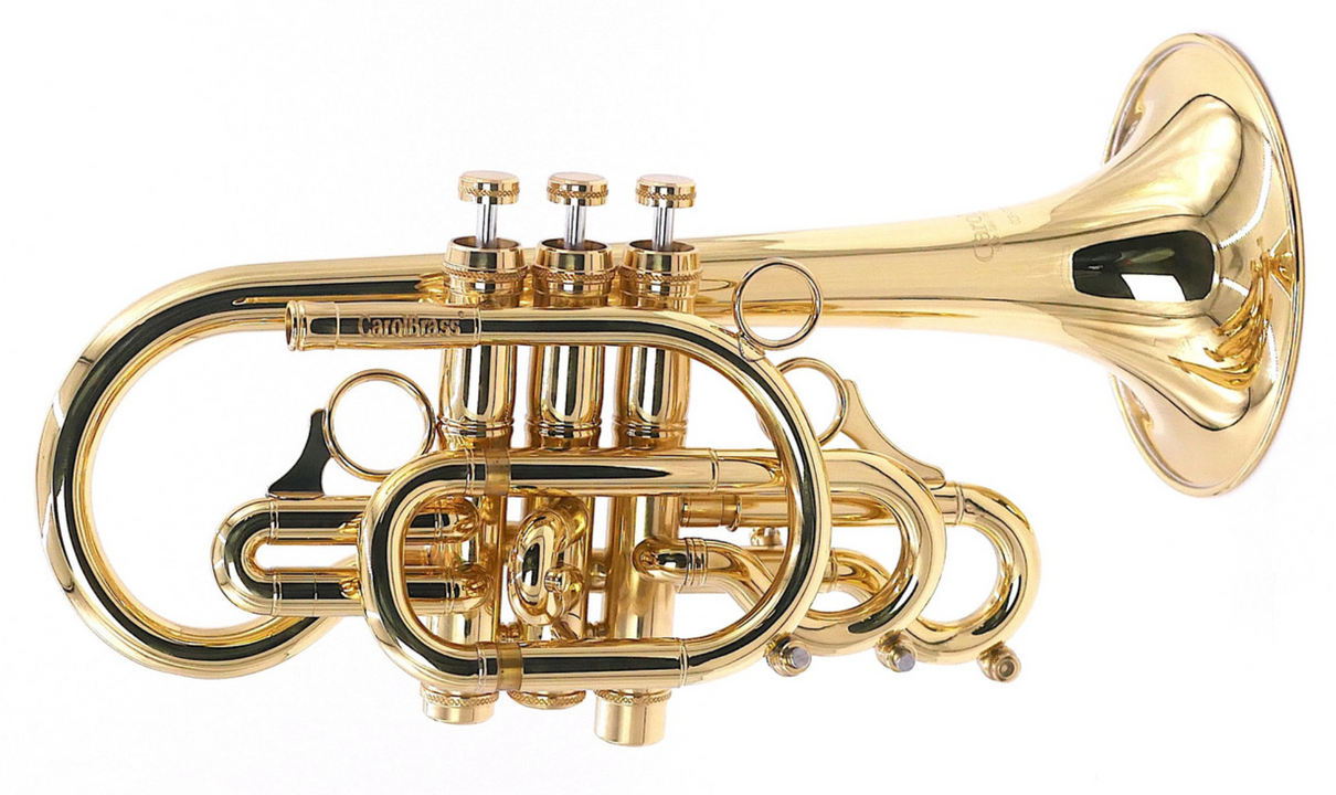 Another supercool arrival on this cold, snowy day...  A  C cornet!