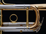 Schagerl Academica TR-620CL C Trumpet in Lacquer