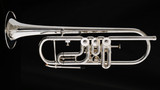 Schagerl Salzburg Rotary Trumpet in Silver Plate
