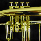 Adams F4 Selected Series Flugelhorn in Clear Lacquer