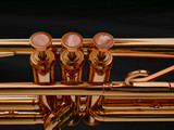 Adams A9 Selected Series trumpet in copper lacquer (large bore) finger buttons