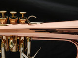 Adams Selected Series F5 Flugelhorn in Polished Lacquer!