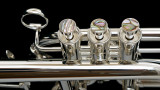 Schagerl Raweni Trumpet: Build Your Own!