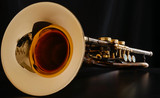 Schagerl Ganschhorn Trumpet: Build Your Own!