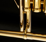 Adams Sonic flugelhorn in gold lacquer bracing