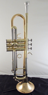 Manchester Brass Professional Bb Trumpet in Clear Lacquer with Gold Brass Bell