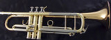 Manchester Brass Professional Bb Trumpet in Clear Lacquer with Gold Brass Bell