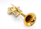 Manchester Brass Professional Bb Trumpet in Clear Lacquer with Gold Brass Bell