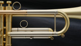 Böhme Tumultus Trumpet: Build Your Own!