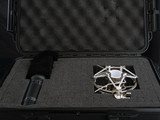 Barkley Infinity Studio Ribbon Microphone - Incredible Mic for Trumpet!