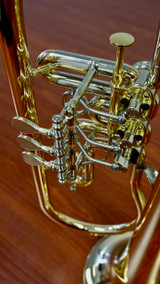 Brand new arrival to the shop the exquisite Schagerl Hans Gansch Flugelhorn