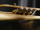 Austin Custom Brass   Model Doubler's Cornet! 