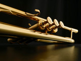 Adams A5 Selected Series trumpet in gold lacquer finger buttons