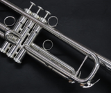 Amazing first pro trumpet:  Check out the Brasspire Unicorn 770S