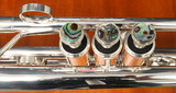 Amazing first pro trumpet:  Check out the Brasspire Unicorn 770S