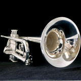 The Wonderful  XO  1600I Roger Ingram Model Trumpet in Lacquer or Silver Plate