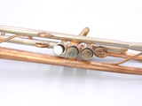 Brand New AR Resonance Feroce Trumpet!  A  True work of art!
