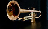 Brand New AR Resonance Romantica Trumpet: Amazing!