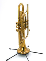 Vintage Holton Model 29 Cornet in Clear Lacquer