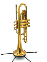 Vintage Holton Model 29 Cornet in Clear Lacquer