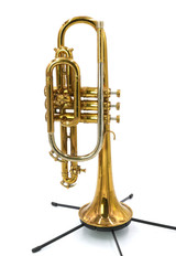 Vintage Holton Model 29 Cornet in Clear Lacquer