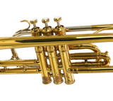 Vintage Holton Model 29 Cornet in Clear Lacquer