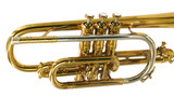Vintage Holton Model 29 Cornet in Clear Lacquer