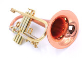 Taylor Phat Puppy Plus:  Super unique Flugelhorn!