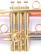 Taylor Phat Puppy Plus:  Super unique Flugelhorn!
