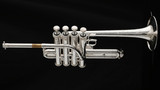 Amazing Shires Model 9Y Custom Series Piccolo Trumpet in Silver Plate!