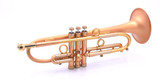 Taylor Nemesis Trumpet in Satin Matte Gold Lacquer