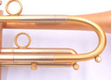 Taylor Nemesis Trumpet in Satin Matte Gold Lacquer
