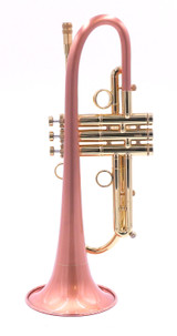 Taylor Phat Puppy Plus Flugelhorn in Clear Lacquer 