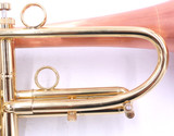 Taylor Phat Puppy Plus Flugelhorn in Clear Lacquer 