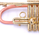 Taylor Phat Puppy Plus Flugelhorn in Clear Lacquer 