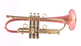 Taylor Phat Puppy Plus Flugelhorn in Clear Lacquer 
