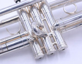 From T's collection:   Selmer Concept TT Trumpet in Silver Plate  a smokin' horn! 