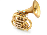 The  Brasspire Pocket Trumpet P7 in Matte Gold Lacquer: Maybe the best pocket trumpet out there?
