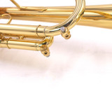 Carolbrass Andrea Giuffriedi All Around Trumpet in Clear Lacquer