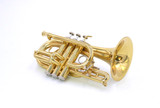 Back in stock!  Carol Brass  CPT 4000-yls  Pocket C Trumpet in lacquer!