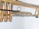 Thane  Sequoia Trumpet in Brushed Raw Brass 