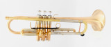 Thane  Sequoia Trumpet in Brushed Raw Brass 