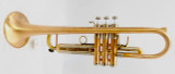 Thane  Sequoia Trumpet in Brushed Raw Brass 