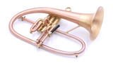 Bell BTFH Vector Flugelhorn in Satin Lacquer 