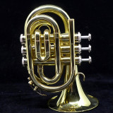 ACB Doubler's Large Bell Pocket Trumpet NEW 2026 FINISH OPTION!